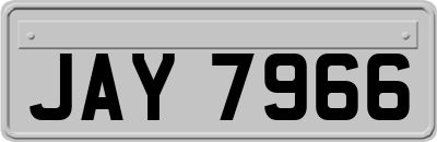 JAY7966
