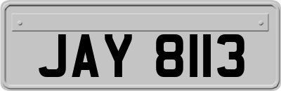 JAY8113