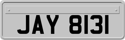 JAY8131