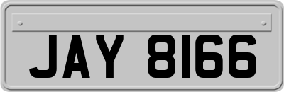 JAY8166