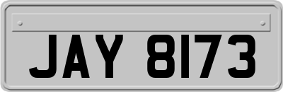 JAY8173