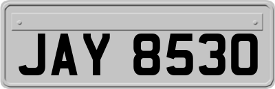 JAY8530