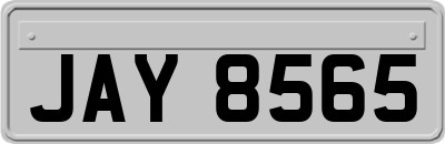JAY8565