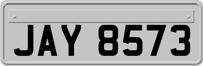 JAY8573