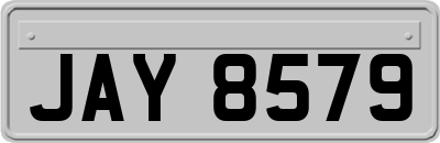 JAY8579