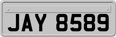 JAY8589