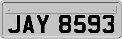 JAY8593