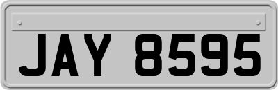 JAY8595