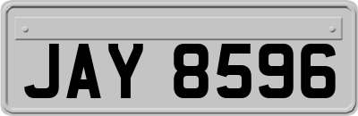 JAY8596