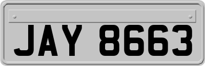 JAY8663