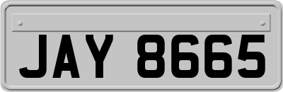 JAY8665