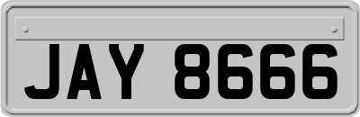 JAY8666