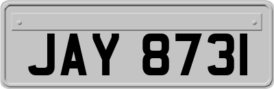 JAY8731