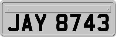 JAY8743