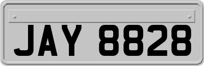 JAY8828