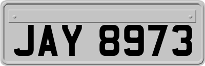 JAY8973