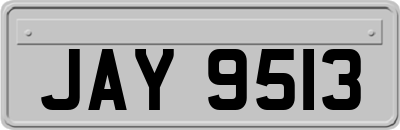 JAY9513