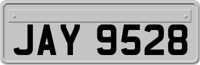 JAY9528
