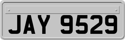 JAY9529