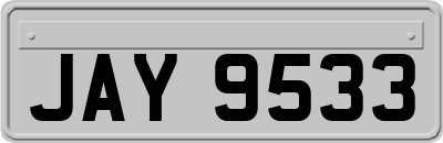JAY9533