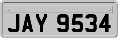 JAY9534