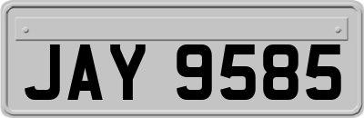JAY9585