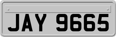 JAY9665