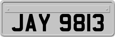 JAY9813