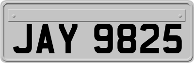 JAY9825