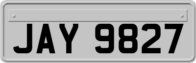 JAY9827