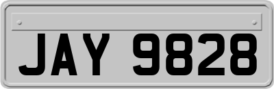 JAY9828