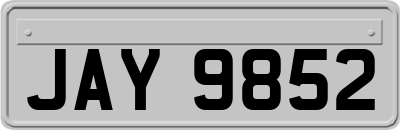 JAY9852