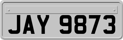 JAY9873