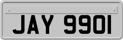 JAY9901