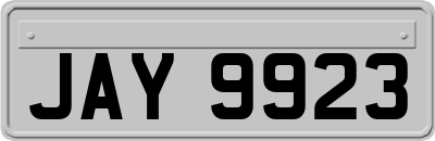 JAY9923