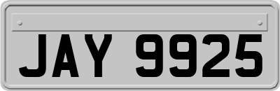 JAY9925
