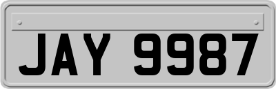 JAY9987
