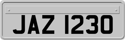 JAZ1230