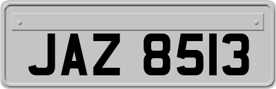 JAZ8513