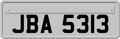 JBA5313