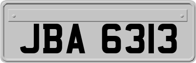 JBA6313