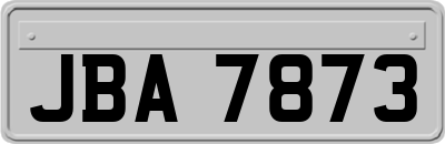 JBA7873