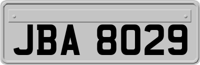JBA8029