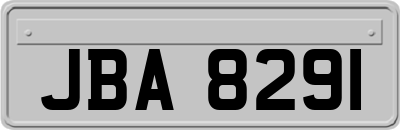 JBA8291