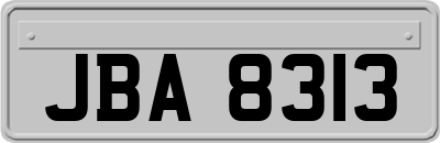 JBA8313
