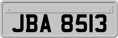 JBA8513