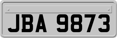 JBA9873
