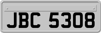 JBC5308