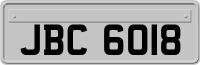 JBC6018