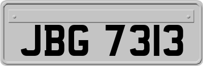 JBG7313